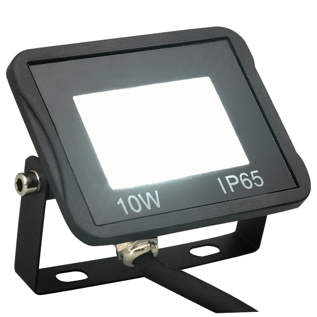 vidaXL LED-Fluter 10 W Kaltweiß