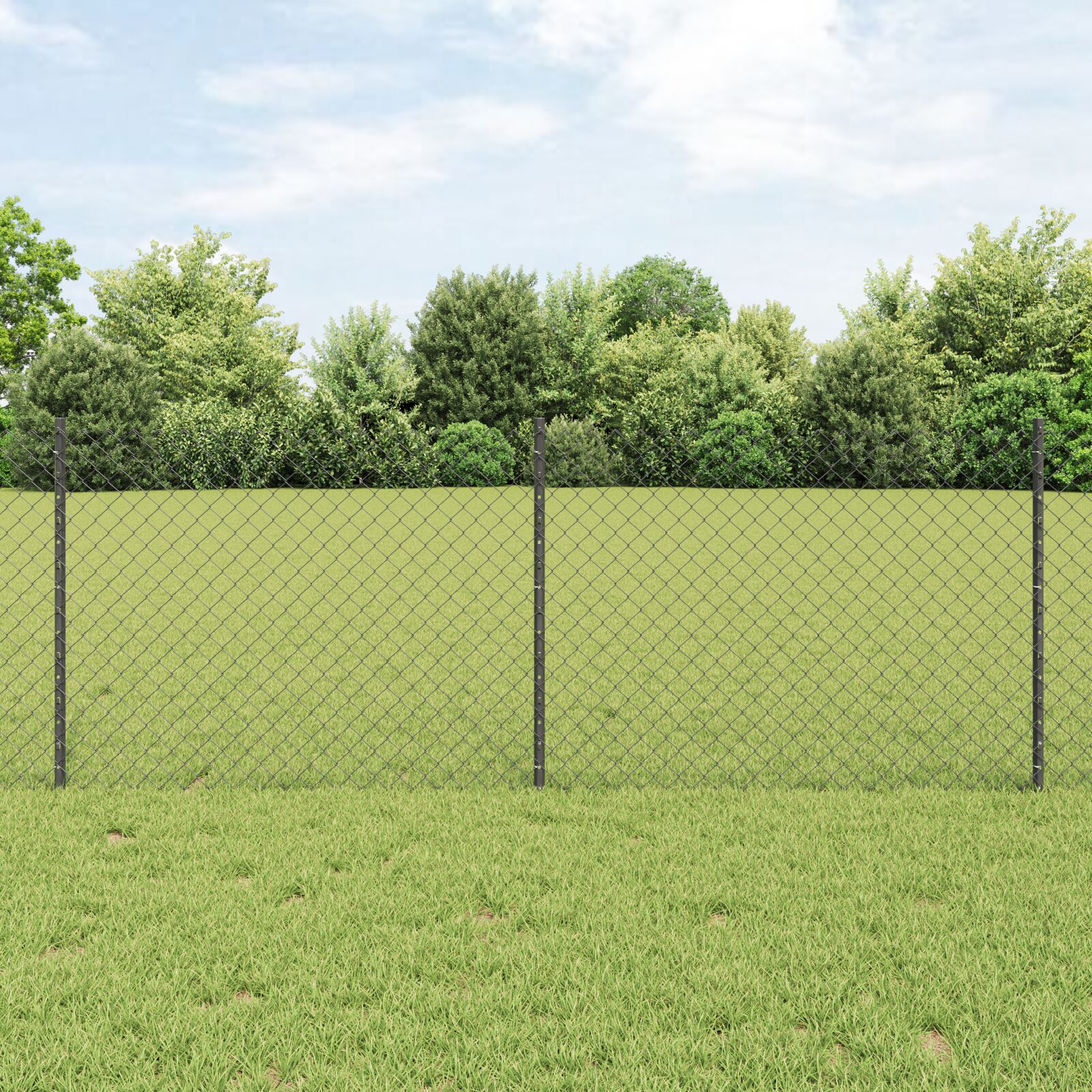 vidaXL Drahtzaun mit 10 U-Pfosten Grau 0.8x10 m Stahl