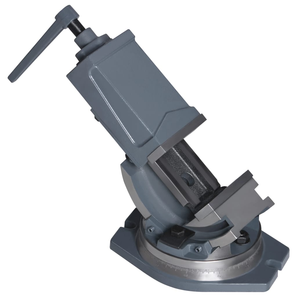 vidaXL 2-Achsen-Schraubstock Kippbar 100 mm