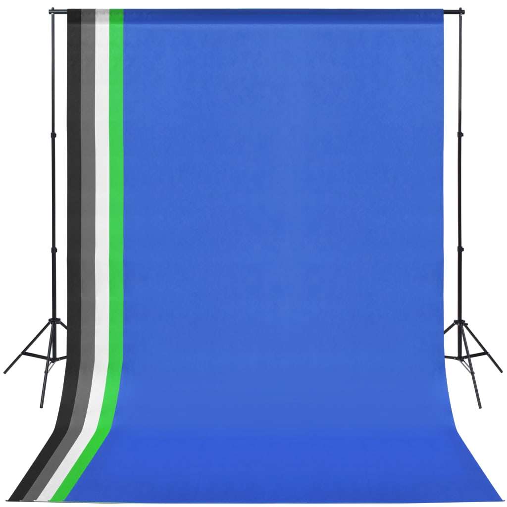 vidaXL Fotostudio-Set mit 5 farbigen Hintergründen und einstellbarer Aufhängung