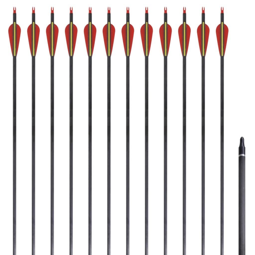 vidaXL Recurvebogen-Pfeile 30" 0,76 cm Carbon 12 Stk.