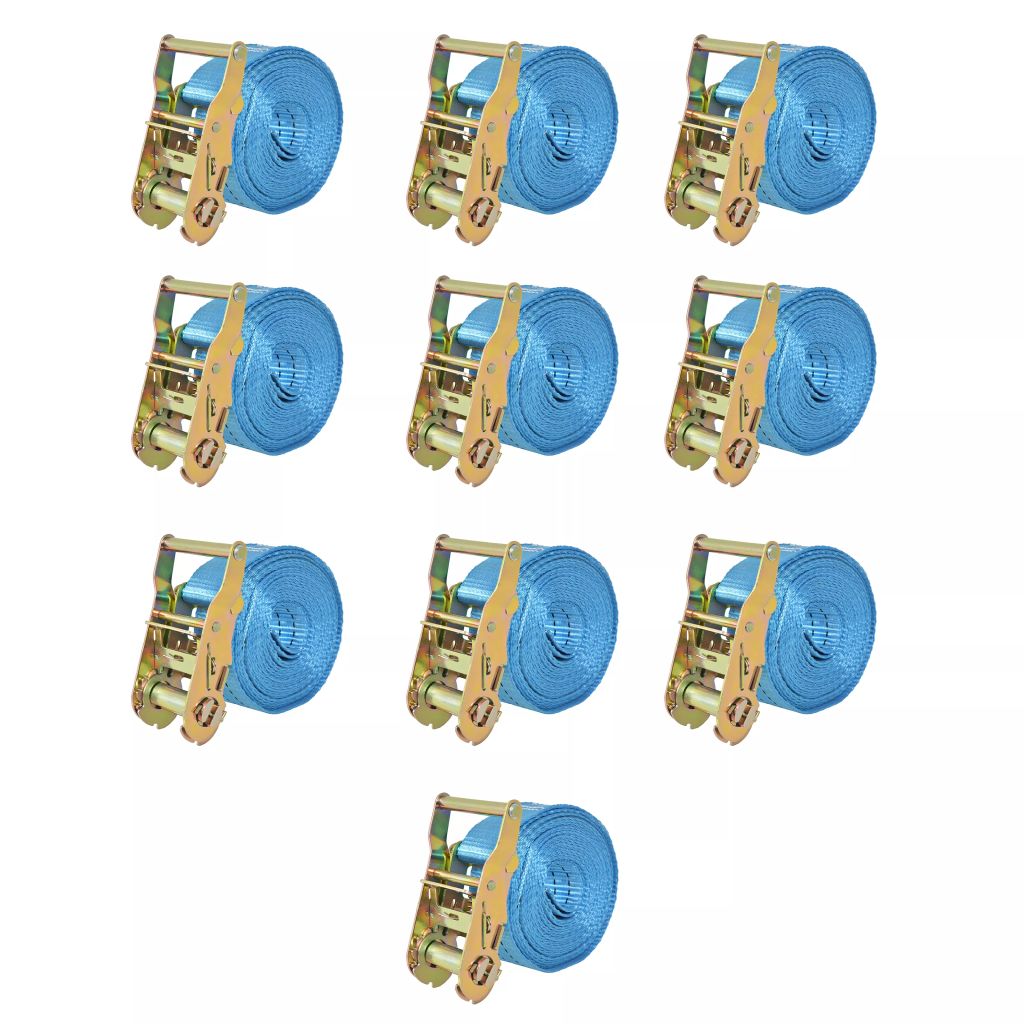 vidaXL Ratschen-Spanngurte 10 Stk. 2 Tonnen 6m×38mm Blau