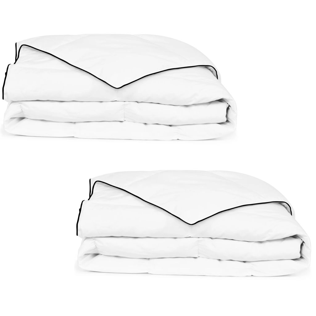 vidaXL Winter-Daunendecke 2 Stk. 150x200 cm